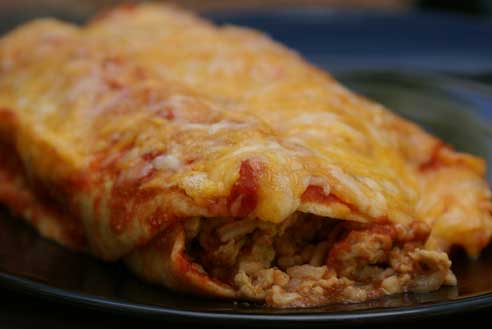 Cheeseless Chicken Enchiladas - $5 Dinners
