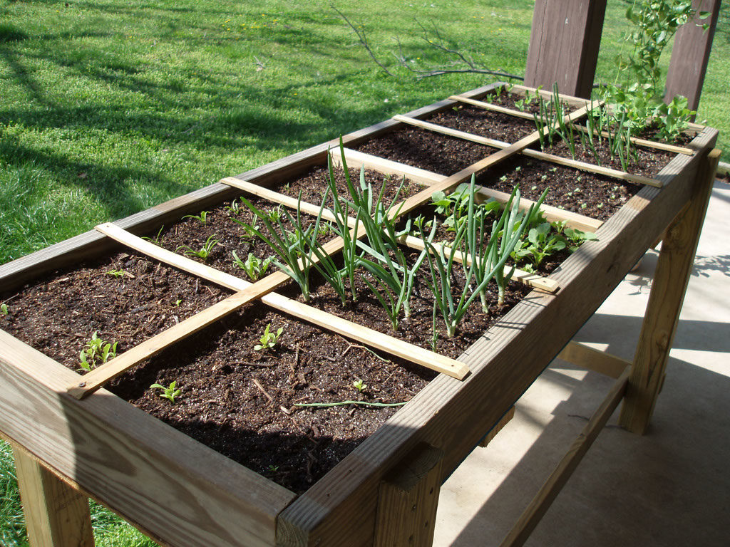 Square Foot Gardening – Containers Edition