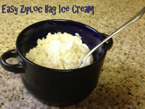 Ziploc bag best sale ice cream