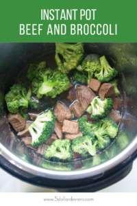 Instant Pot Beef & Broccoli Recipe - $5 Dinners