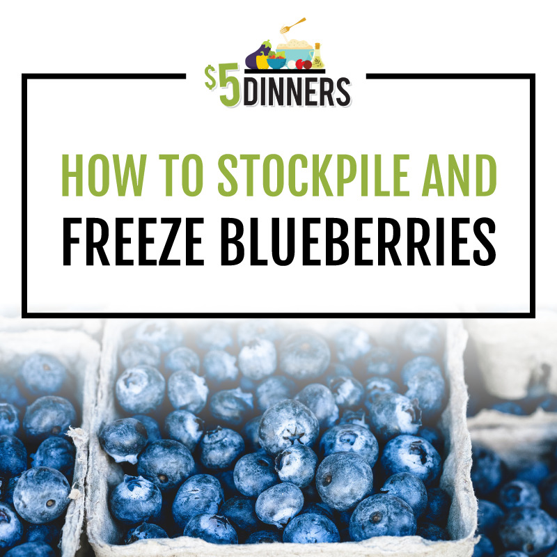 how-to-stockpile-and-freeze-blueberries-on-5-dinners