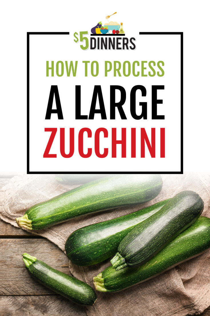 How to Process and Prepare a Zucchini for the Freezer $5 dinners